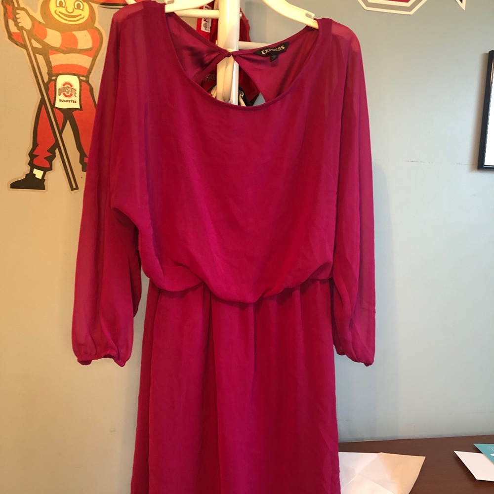 Express Fuschia Medium Dress
